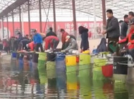 《魚資漁味》20151218 《芒果漁樂》全民趣味挑戰賽