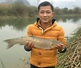 《魚資漁味》20150212 安徽村民捕獲奇形怪狀鯉魚