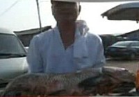 《魚資漁味》20141014 萬佛湖52小時庫釣賽