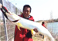《魚資漁味》20170316 吳海強早春圍海釣場意外釣獲鳡魚