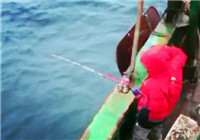 《魚資漁味》 20160224 東海體驗鐵板釣法