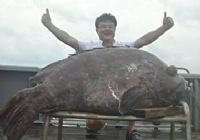 《魚資漁味》20141215 快樂垂釣2015賽季時間