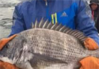 《魚資漁味》20170303 2017首屆pk海釣面餌邀請賽落幕