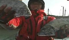 《魚資漁味》20150205 中國海釣出臺監管措施