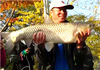 《魚資漁味》20161202 老釣手李旗艦小鉤細線意外釣獲大草魚