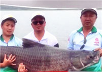 《魚資漁味》20160701 湖北釣友水庫釣獲巨青