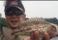 《魚資漁味》20160617 江蘇釣友柘林湖探釣翹嘴