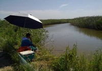 《魚資漁味》20150611 野塘如何浮釣生口鯽魚