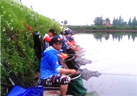 《魚資漁味》20160630 同城約釣賽岳陽站開賽