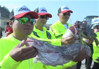 《魚資漁味》20160530 遼寧大連全國休閑海釣賽拉開帷幕