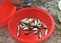 《魚資漁味》20141015 首屆安徽舒城庫釣拉力賽