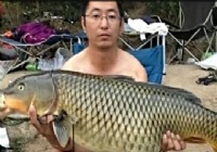 《魚資漁味》20141219 大魚傳奇釣獲31.68斤鯉魚