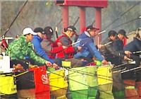 《魚資漁味》 20160219 2016廣東元宵節釣魚邀請賽