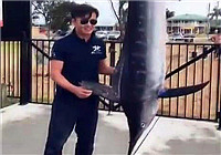 《魚資漁味》20170214 陳飛澳洲出海拖釣中獲322磅馬林魚