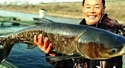 《魚資漁味》20150121 世尚藤田同城約釣湖南南縣站