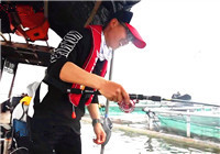 《魚資漁味》20170502 海釣達人出海探釣金鯧魚
