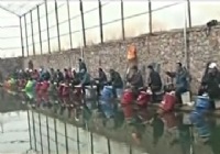 《魚資漁味》20141224 甘肅平涼進行大棚內PK賽