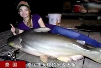 《魚資漁味》20150814 泰國美女夜釣多尾米級大魚