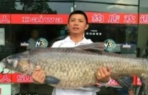 《魚資漁味》20150612 64斤大青魚榮獲大魚榜樣