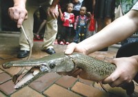 《魚資漁味》20150511 廣東釣友釣獲滿嘴利齒的兇猛怪魚