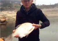 《魚資漁味》20170313 湖南長沙釣友水庫意外中獲15斤草魚