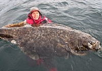 《魚資漁味》20150624 釣友擒獲180磅比目魚