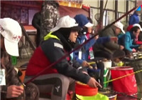 《魚資漁味》 20160129 北京冬釣大棚百人參賽