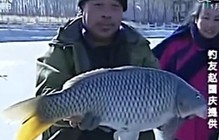 《魚資漁味》20150107 盤錦冰釣9.9斤鯉魚奪冠