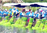 《魚資漁味》 20160727 白山瑪珥湖競技釣魚比賽落下帷幕