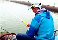 《崩豆百場黑坑系列》（一）天津海棠灣垂釣