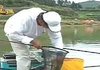 《程寧釣魚視頻》第122集 如何將抄網中的魚入護