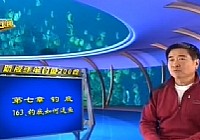 《程寧釣魚視頻》第163集 釣底如何逗魚