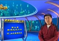《程寧釣魚視頻》第85集 如何精確找底