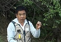 《程寧釣魚視頻》競技釣鯽魚教學視頻第7集