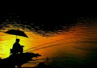 《程寧釣魚視頻》競技釣鯽魚教學視頻第20集