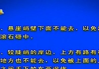 《程寧釣魚視頻》第194集 野釣要注意什么