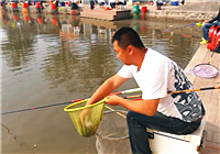 《陪著地瓜去釣魚》20160501 天津武清丸九黑坑釣鯉魚