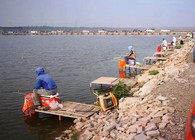 《陪著地瓜去釣魚》 20160710 天津西青福地黑坑探釣獲白板