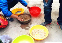 《陪著地瓜去釣魚》20170408 地瓜潮鳳湖釣鯉行