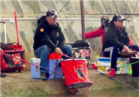 《陪著地瓜去釣魚》20171126 北京通縣漕運鯽魚 (三)