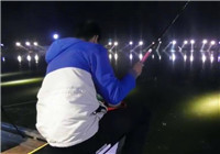 《陪著地瓜去釣魚》20171005 北京平谷騰飛菜鳥小強釣鯽魚(中)