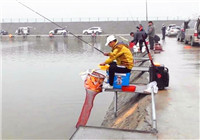 《陪著地瓜去釣魚》20161016 天津薊縣深水黑坑飛接鯽魚