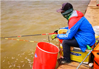《陪著地瓜去釣魚》20160609 地瓜初探滄州月牙湖