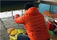《陪著地瓜去釣魚》地瓜的新年活動（下）