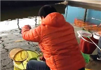 《陪著地瓜去釣魚》20160128 地瓜黑坑三連敗