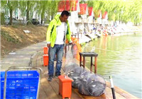 《陪著地瓜去釣魚》20160409 地瓜黑坑釣鯉魚之行