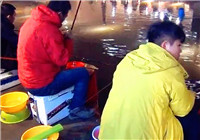 《陪著地瓜去釣魚》20160112 地瓜黑坑中標魚 最終僅釣20斤