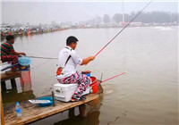 《陪著地瓜去釣魚》 20160730 天津黑坑陰天釣鯽魚