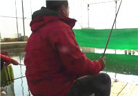 《陪著地瓜去釣魚》20171118 天津東麗一號棚鯽魚(下)