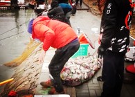 《陪著地瓜去釣魚》 北京花兒黑坑釣鯽魚（中）
